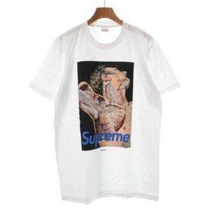 Tối cao / tối cao T -shirt / Cut Saw Men: 2100117268602Y: Ragtag Online Shop -Mail Đơn đặt hàng Mua sắm