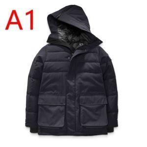 Canada Goose Một con ngỗng caada với bầu không khí bình thường như mùa thu / mùa đông