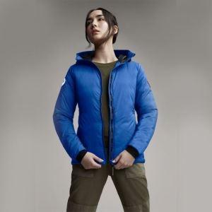 Canada Goose canada ngỗng cana...