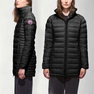 Canada Goose vào mùa thu của C...