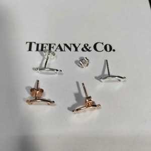 2 Lựa chọn màu sắc Tiffany & Co Winter Fashion và Xỏ thủng tuyệt vời / mùa đông mặc mùa thu mùa đông mùa thu và mùa đông _ Tiffany