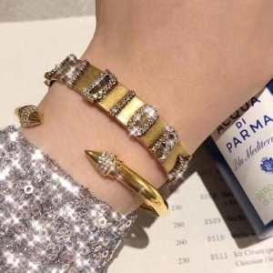 Bacular Dior Dior Dior Dior _ / Winter Xu hướng mà bạn có thể tận hưởng thời trang của mùa thu nhiều hơn