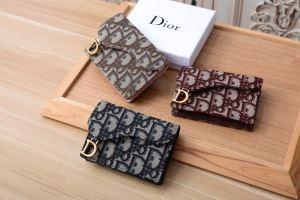 Dior Dior Thưởng thức phong cách theo mùa trong lựa chọn 3 màu mùa thu này Một tọa độ mùa thu/mùa đông