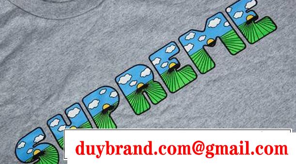 自然性に溢れる逸品　シュプリーム通販 良い風合いＴシャツ　グレー.