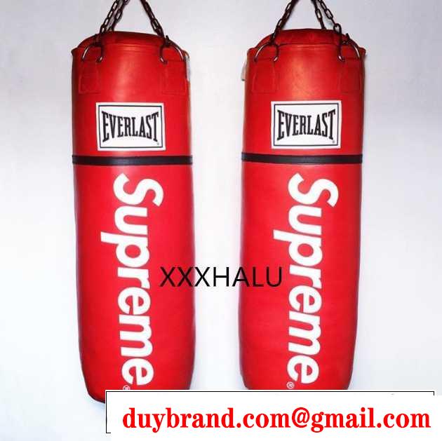 supreme 16ss 大人気再登場 Everlast サンドバッグ