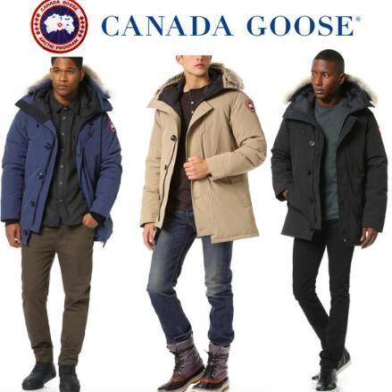 Canada Goose canada ngỗng cana...