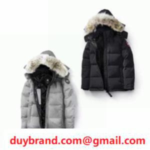 Formada Goose ngỗng canada ngỗ...