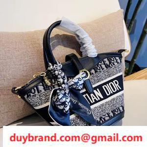 Vật phẩm độc đáo "Dior Obrique" Motif Dior Bag Mini Duel Ladies Ấn tượng
