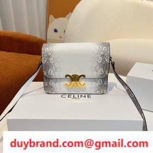 Mô hình mới của Celine xuất hiện! Túi Teen Trionf Celine Charizard Elegant với một biểu hiện hấp dẫn và sự dễ thương