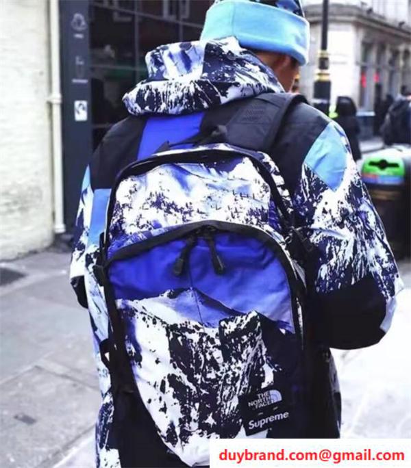 The North Face 偽物 バックパック